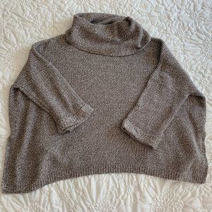 Express Turtleneck Sweater